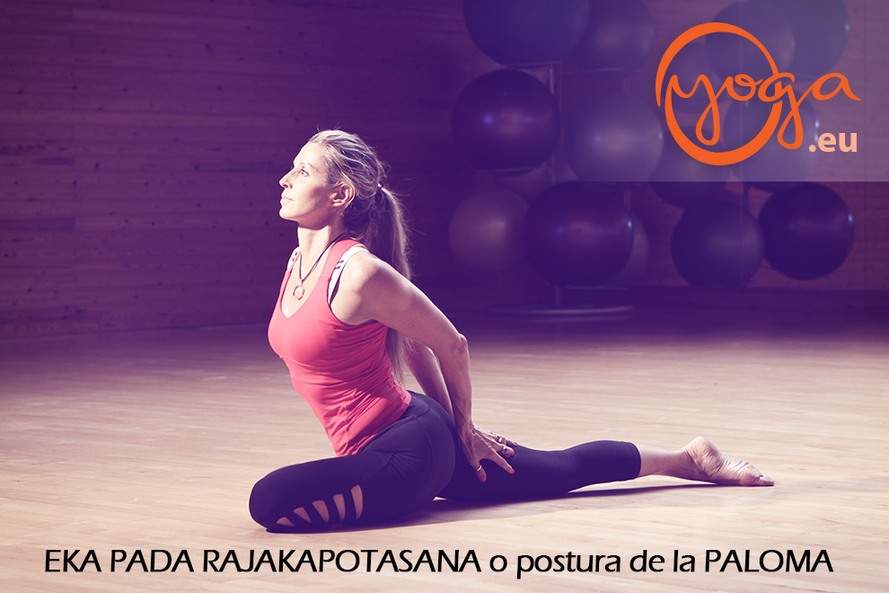 Yoga Paloma Sevilla
